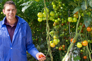 Onze tomatenleverancier