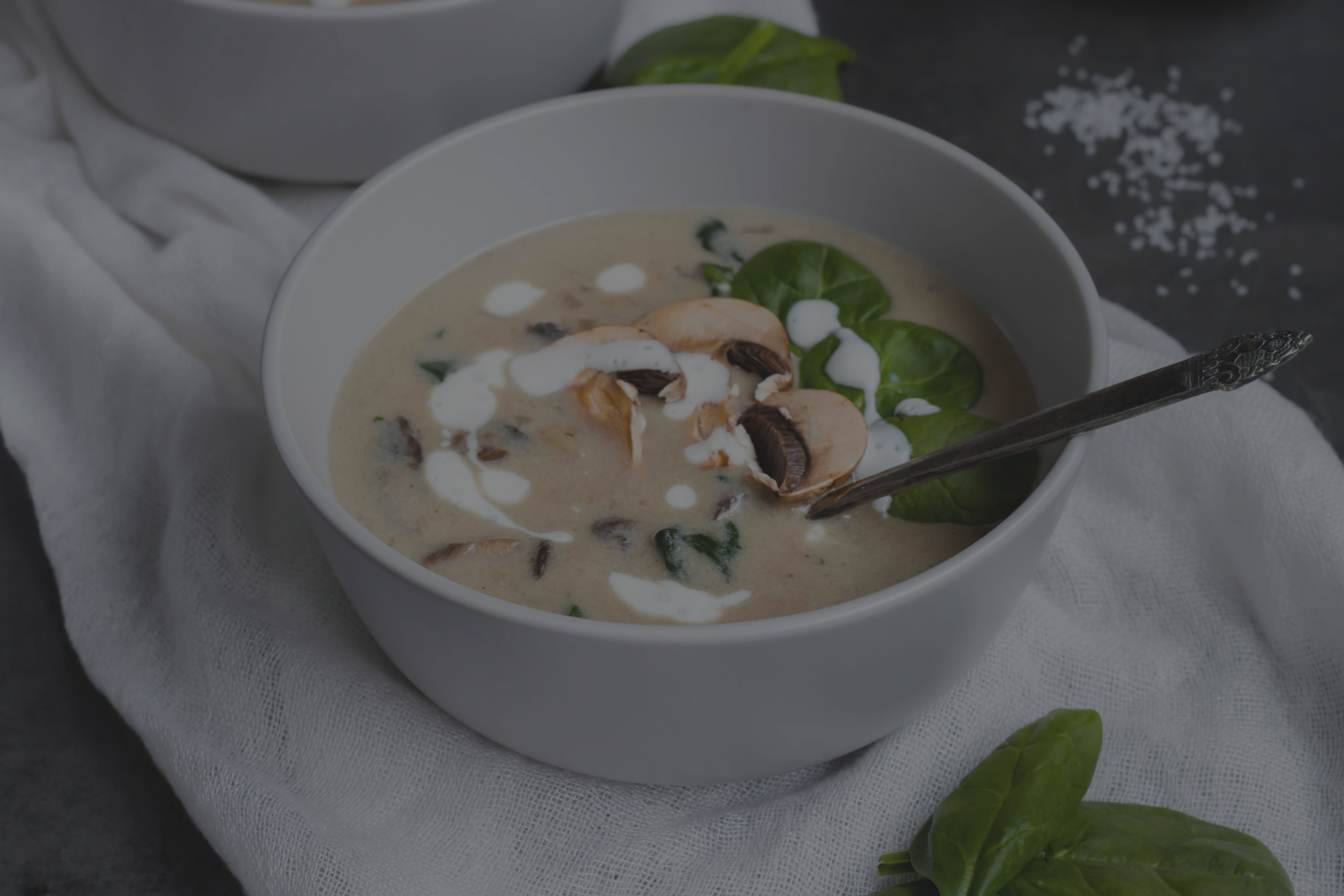 Champignons richtig lagern und frisch halten: Tipps und Anleitung