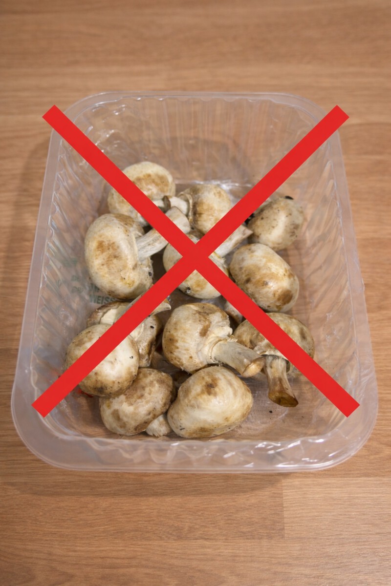 Champignons richtig lagern und frisch halten: Tipps und Anleitung