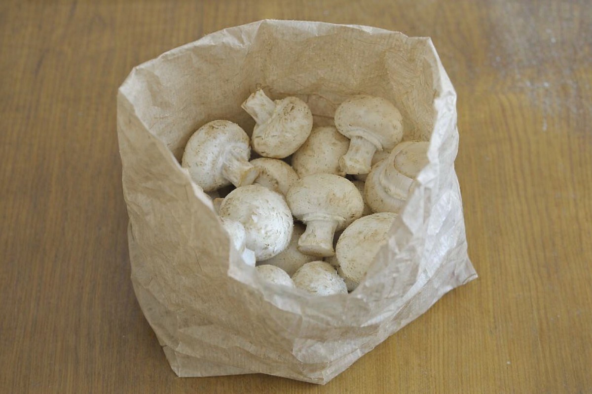 Champignons richtig lagern und frisch halten: Tipps und Anleitung